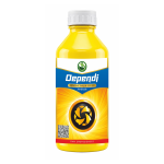 Depandi