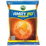 Amry 80
