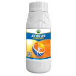 Star 25