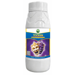 Toofan